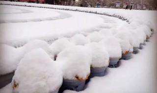 雪融化时为什么会冷（雪融化的时候为什么冷）