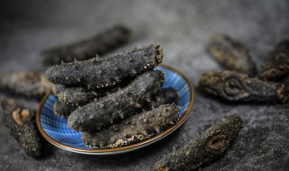 黑白海参有什么区别（黑白海参有什么区别图片）