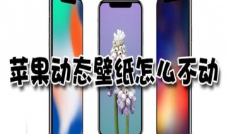 苹果手机为什么无法设置动态壁纸(iphone为什么设置不了动态壁纸)