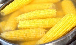 产妇能吃苞米吗 产后可以吃苞米吗