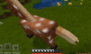 我的世界骆驼用什么驯服 我的世界骆驼怎么训