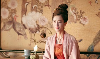 电视剧清平乐是什么小说改编的(清平乐电视剧的原著是什么)