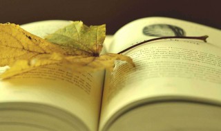 悲伤感慨人生的句子（悲伤感慨人生的句子简短）