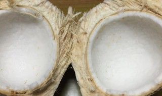 椰子肉的营养价值 椰子肉的功效与作用及食用方法