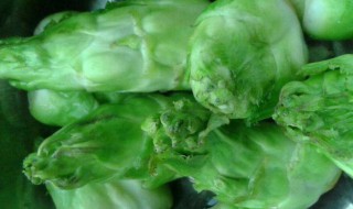 背儿菜的营养价值和功效（背菜的功效与作用）