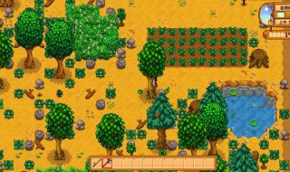 星露谷物语原始运动有什么用(星露谷物语所有地图原始面貌)