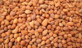 吃郁李仁的注意事项（郁李仁吃多了会怎样）