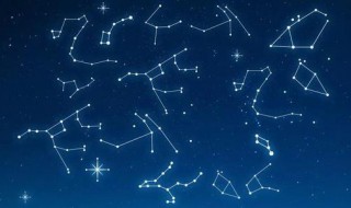 紫微陀罗是什么意思 陀罗紫薇