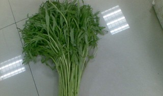 蓠蒿有什么营养价值（茼蒿的营养价值和药用价值）