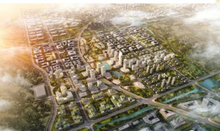 济南自由贸易区在哪个区 济南自由贸易区范围图