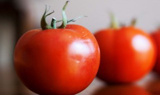 西红柿可不可以跟羊肉一起吃吗（西红柿能不能和羊肉一起吃?）