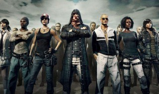 和平精英ss（和平精英ss22赛季手册）