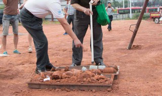 怎样进行土壤的采样与处理 土壤采样的基本原则