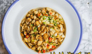 海瓜子肉的功效与作用 海瓜子肉的功效与作用禁忌