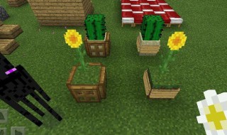 手机版我的世界守卫者怎么驯服 手机版我的世界守卫者怎么驯服怪物