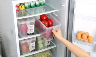 出门一个月要关冰箱吗（出门一个月需要关冰箱吗）