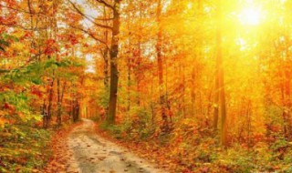 秋天打雷预示着什么 秋天打雷民间有什么说法