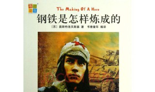 钢铁是怎样炼成的摘抄 钢铁是怎样炼成的摘抄句子