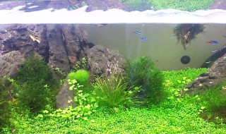 鱼缸水泵的使用方法有哪些?（鱼缸水泵的使用方法有哪些图片）