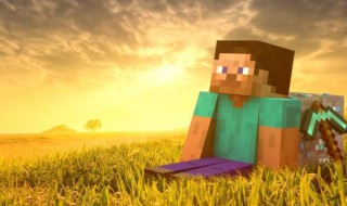 我的世界怎么让玩家只破坏固定方块（我的世界如何让一个东西只能破坏一种物品）