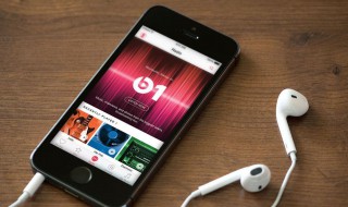 苹果手机没有ID是什么意思（苹果手机没有id是怎么回事）