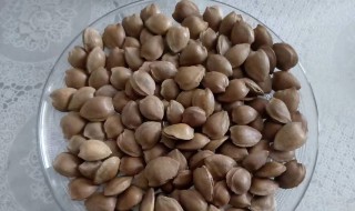 霹雳果的作用与功效(霹雳果的作用与功效图片)