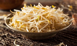 豆芽猪肉饭步骤(今天吃的豆芽熬猪肉)