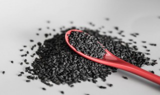 黑芝麻熟丸的制作方法 黑芝麻熟丸的制作方法视频