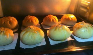 烤箱做包子方法（烤箱做包子方法视频教程）