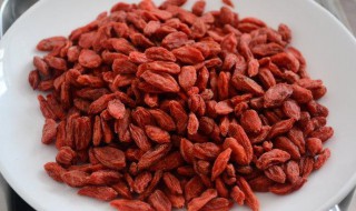 枸杞子的保存方法有哪些（枸杞子的保存方法有哪些视频）