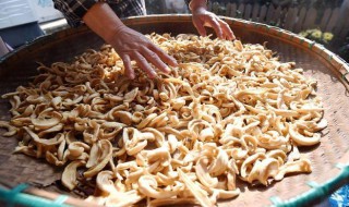 自晒萝卜干做法步骤（自晒萝卜干的做法大全）