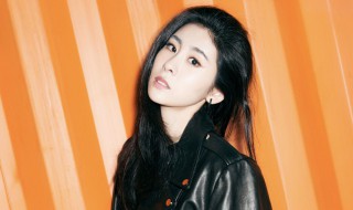 张碧晨是谁(张碧晨是谁的私饭)