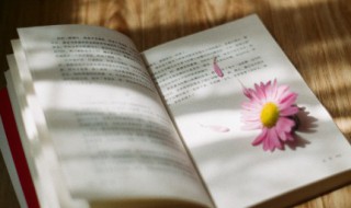 关于古代文人的文案(关于古代文人的文章)