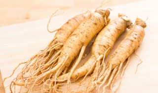 人参大棚种植方法（人参大棚种植方法图解）