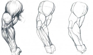 练手部肌肉教程 练手部肌肉的最好方法视频