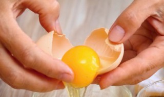 日式炒蛋步骤（日式炒嫩蛋）