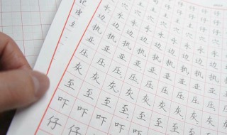 刚开始练书法的步骤 新手练书法