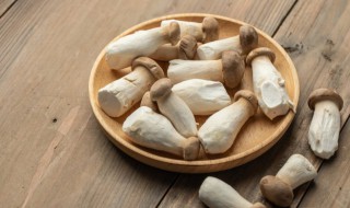 杏鲍菇怎么做美食 杏鲍菇怎么做最好