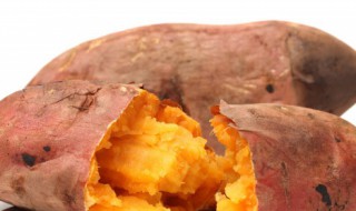 蛋黄焗地瓜怎么做（蛋黄焗地瓜怎么做才好吃）