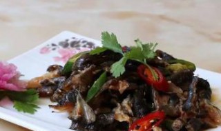 酸辣猪皮炒木耳（酸辣猪皮炒木耳的做法）