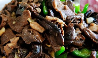 茯苓首乌炒金菇 茯苓首乌膏