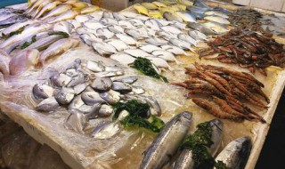 海鲜鱼怎么保鲜（海鲜鱼怎么保鲜时间长）