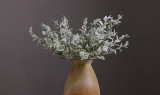 绿植绒养护方法（绿色植绒布）