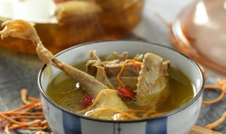 虫草花鸽子汤的做法（虫草花鸽子汤的做法与功效）