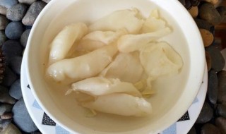 花胶泡发怎么做 花胶泡发做法