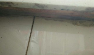 地砖漏水处理方法（地砖漏水处理方法有哪些）