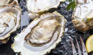 蒜香烤大蚝（烤生蚝的蒜蒜蓉做法）