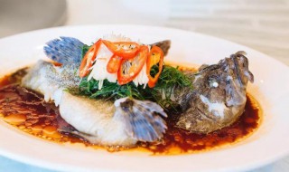 清蒸黑过鱼 清蒸黑鱼怎么做好吃又简单