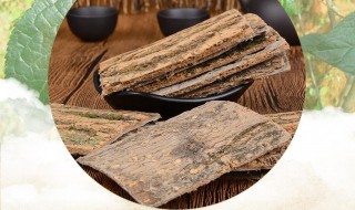 杜仲泡茶的方法与功效（杜仲泡茶的方法与功效及禁忌）