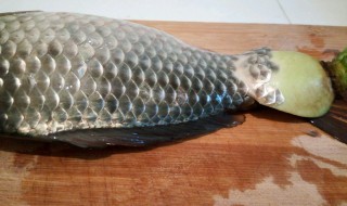 去鱼鳞最快最有效的方法 去鱼鳞的最好方法